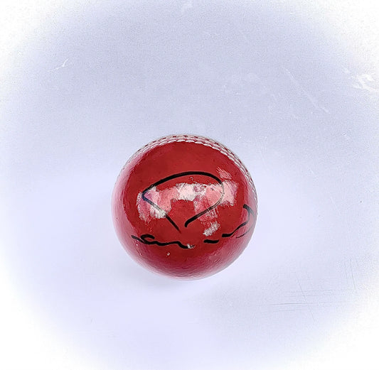 Shoaib Akhtar autographed ball (red)